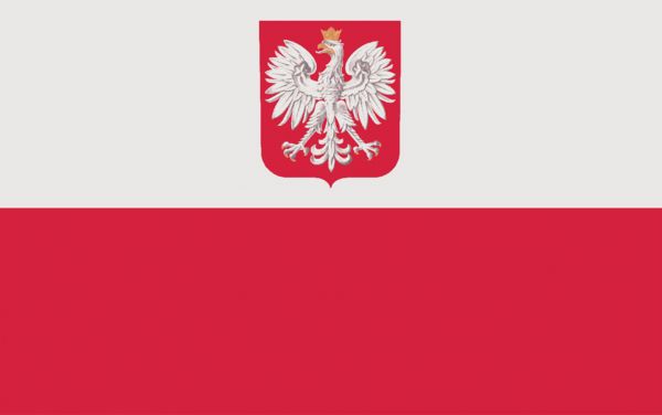 flaga polski z godlem